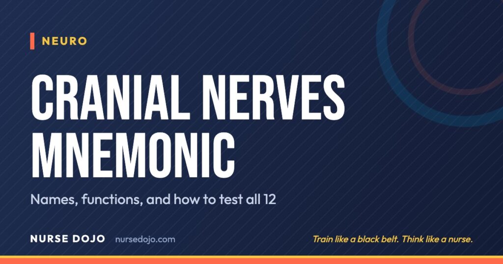 Cranial Nerves Mnemonic: Names, functions, and how to test all 12 | Nurse Dojo NCLEX guide