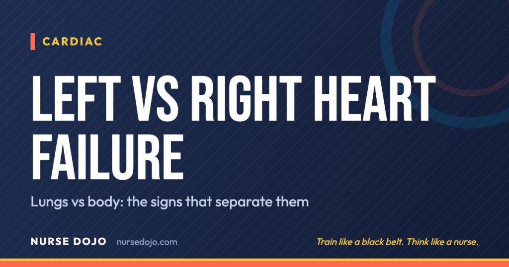 Left vs Right Heart Failure: Lungs vs body: the signs that separate them | Nurse Dojo NCLEX guide