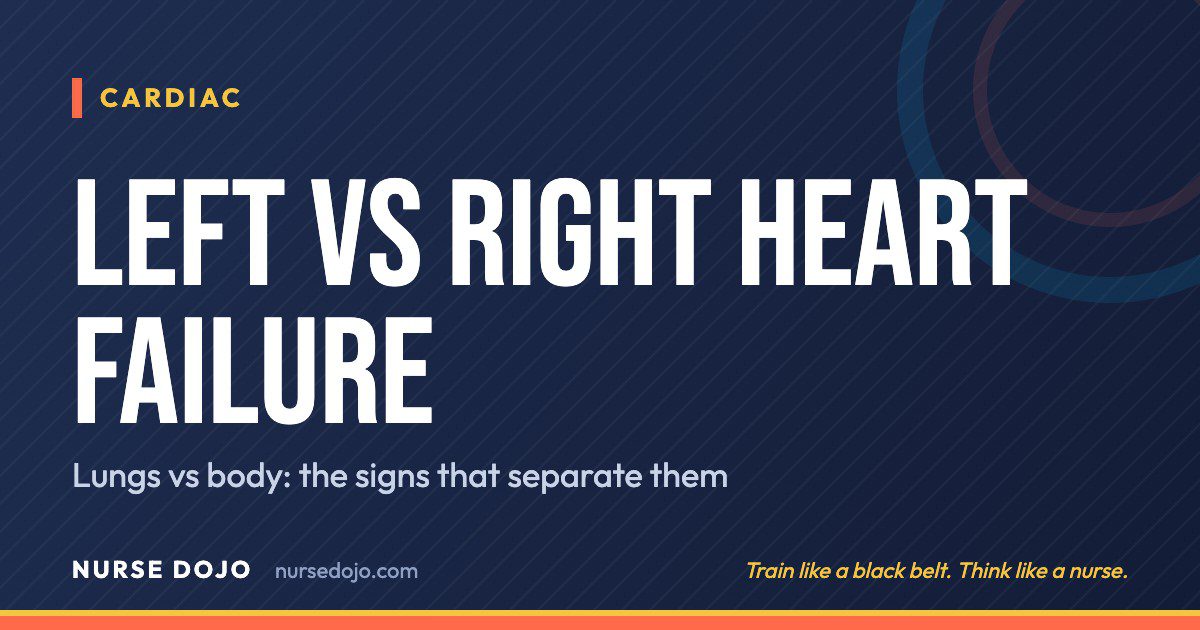 Left vs Right Heart Failure: Lungs vs body: the signs that separate them | Nurse Dojo NCLEX guide